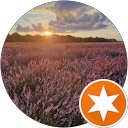 Anne H profile picture